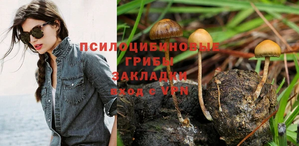 дживик Алексеевка