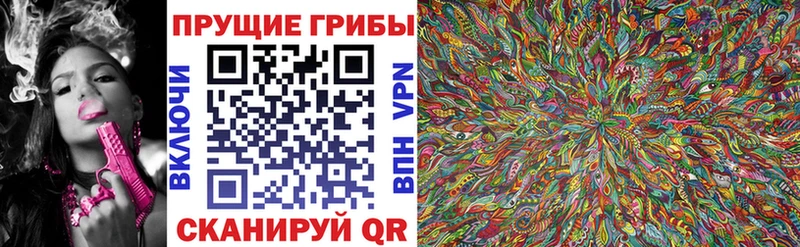 дарнет шоп Кудрово Галлюциногенные грибы Magic Shrooms