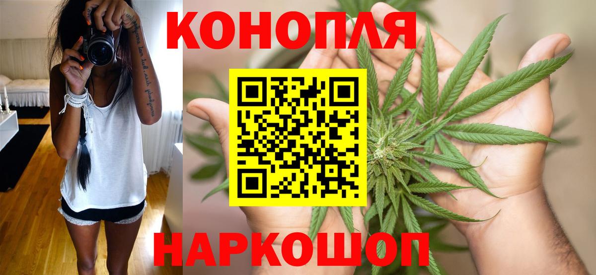 Бошки марихуана план Кудрово